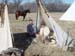 Camped